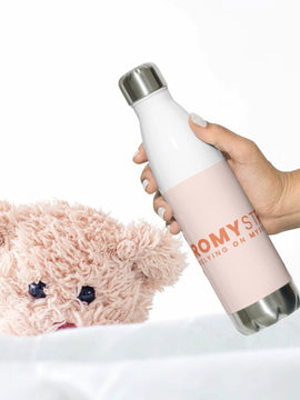 17 oz Insulated Water Bottle